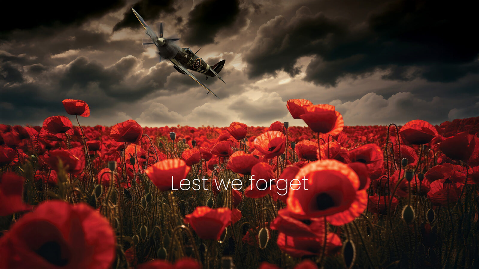 spitfire flying over a field of poppies